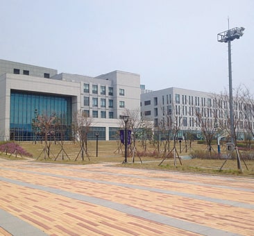 延世大学