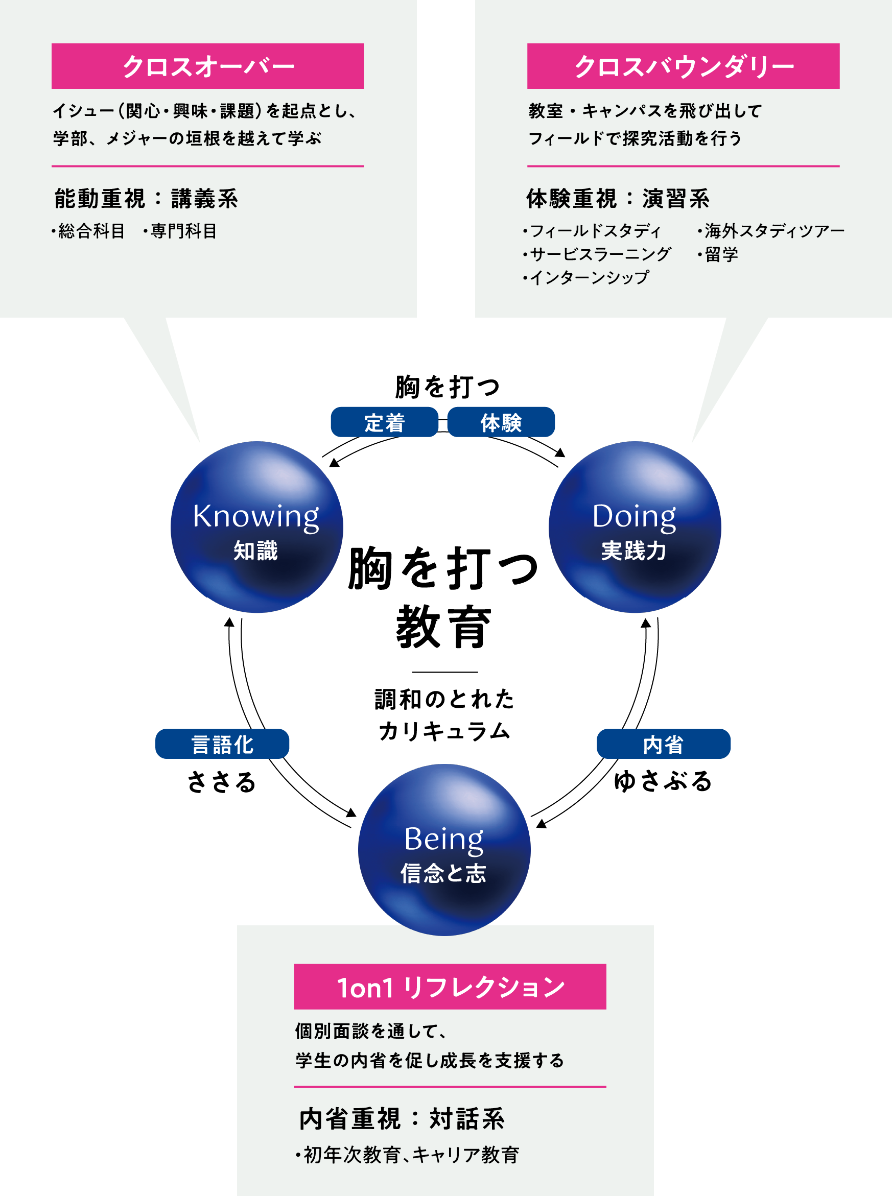 生き方の基軸となる目標、価値観、信念、強み、人生の土台となる知識、教養、技能、リテラシー、生涯の実践を支えるコンピテンシー