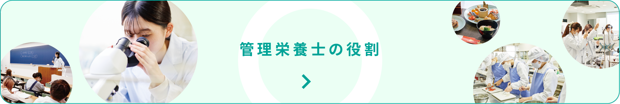 管理栄養士の役割