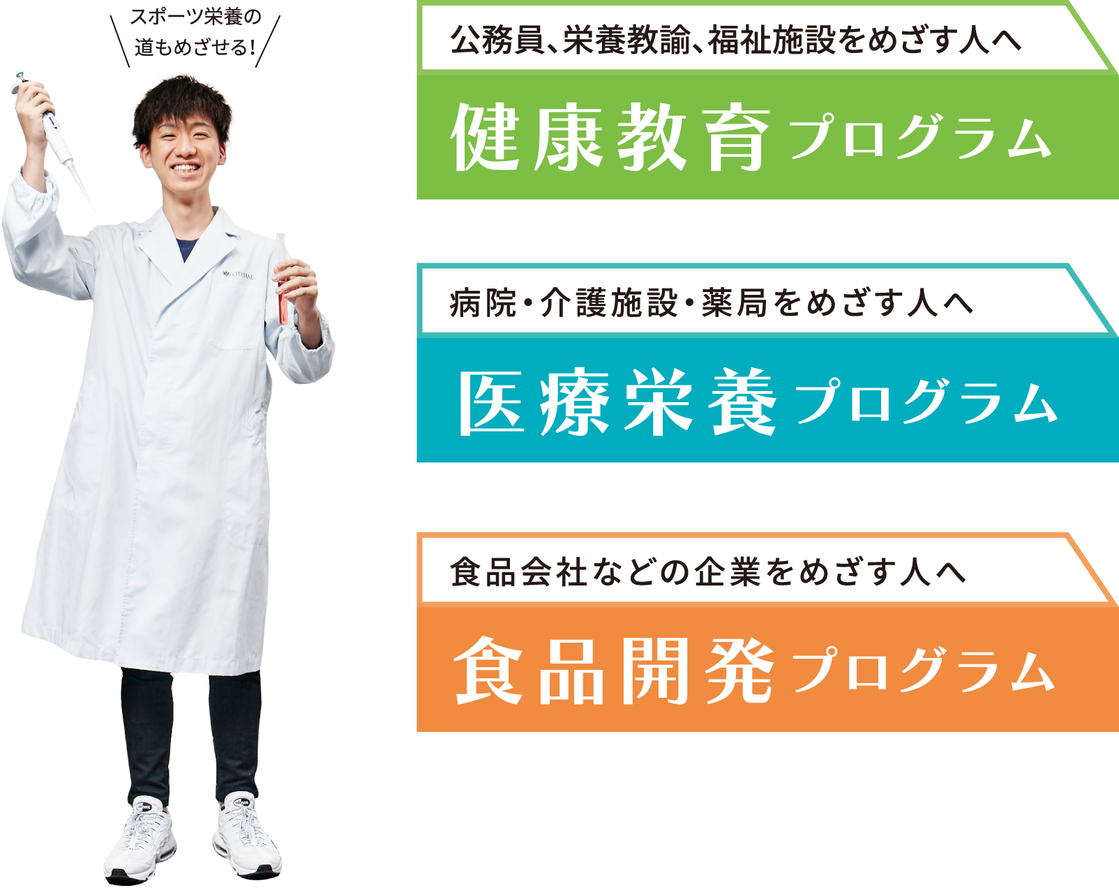 公務員、栄養教諭、福祉施設をめざす人へ健康教育プログラム、病院・介護施設・薬局をめざす人へ医療栄養プログラム、食品会社などの企業をめざす人へ食品開発プログラム