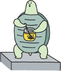 turtle