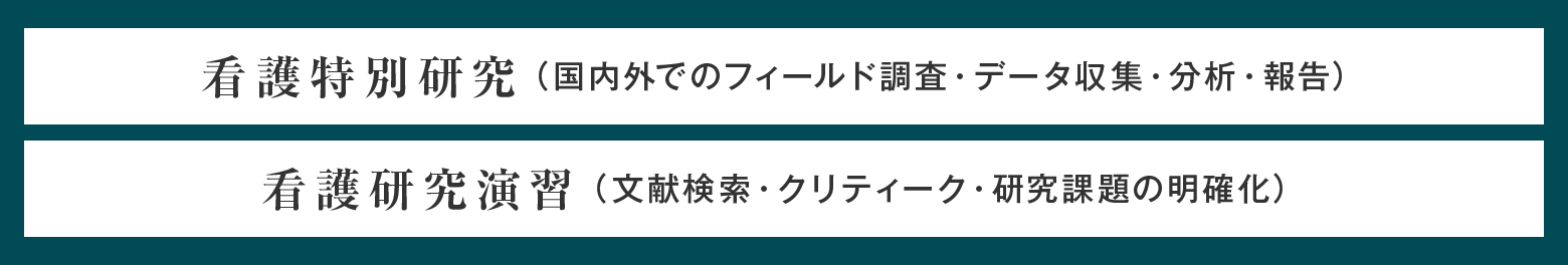 看護特別研究（国内外でのフィールド調査・データ収集・分析・報告）看護研究演習（文献検索・クリティーク・研究課題の明確化）