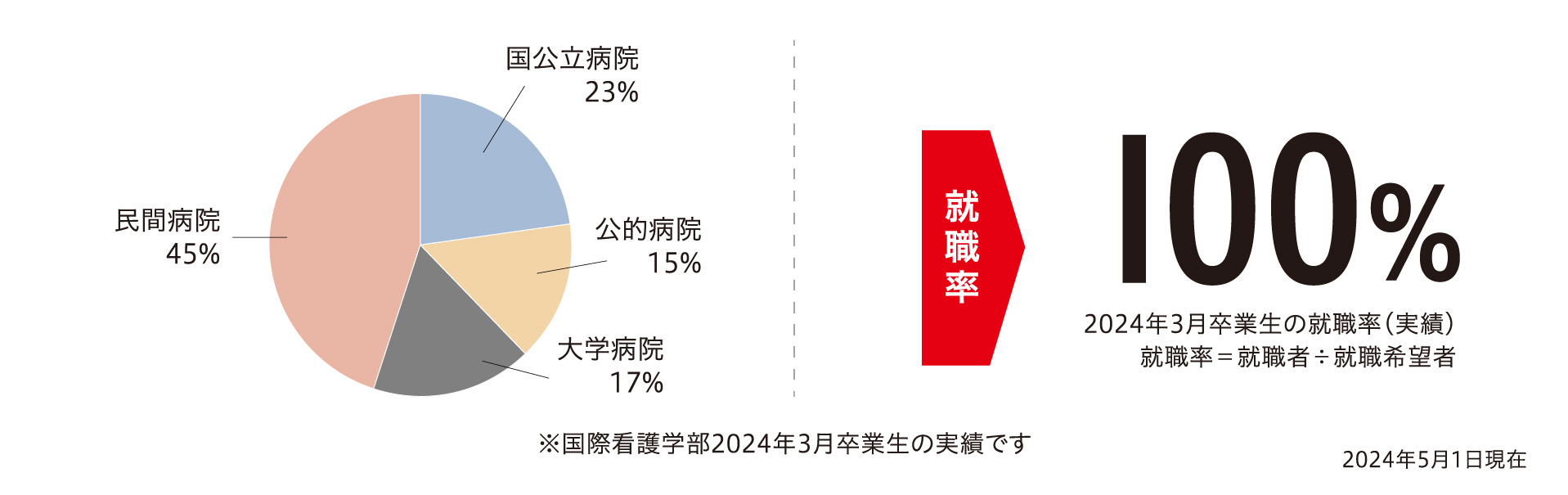 国際看護学部業種内訳