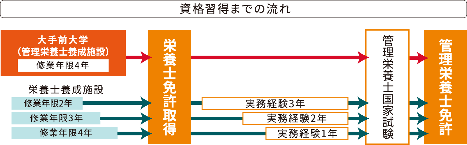 資格習得までの流れ表