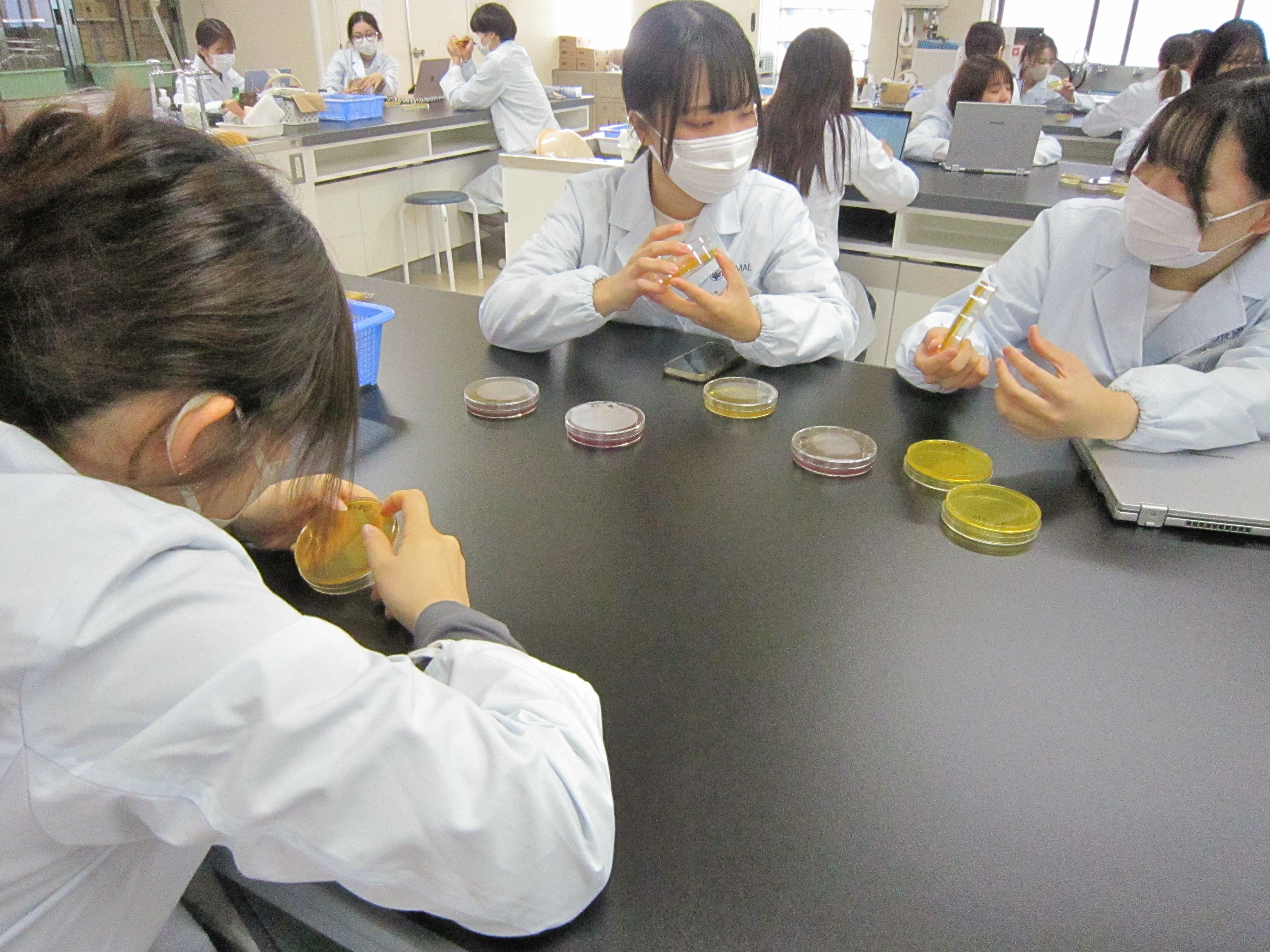 乳酸菌飲料は薄めて使用するために、希釈をしています