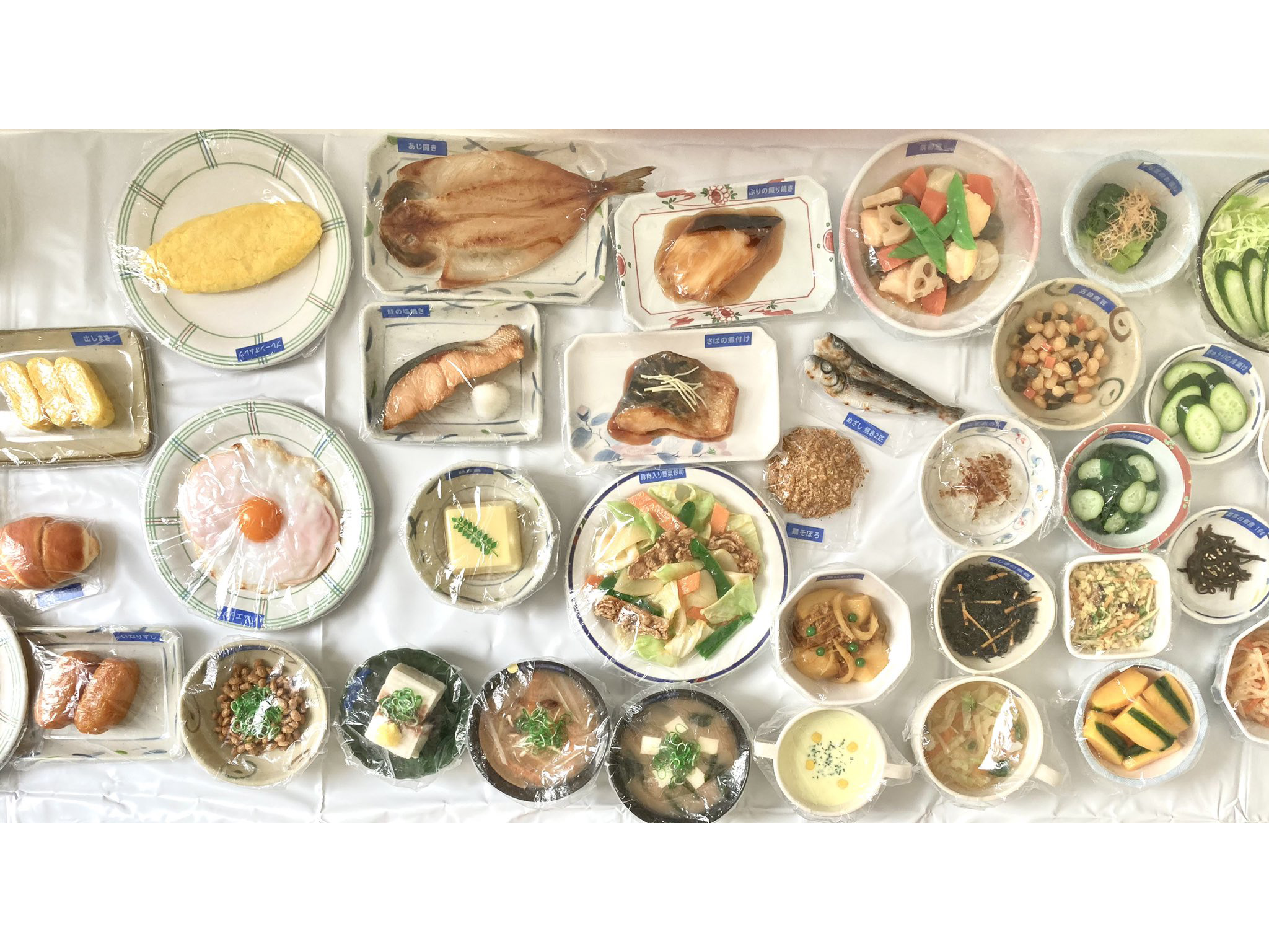 「食育SATシステム」フードモデル