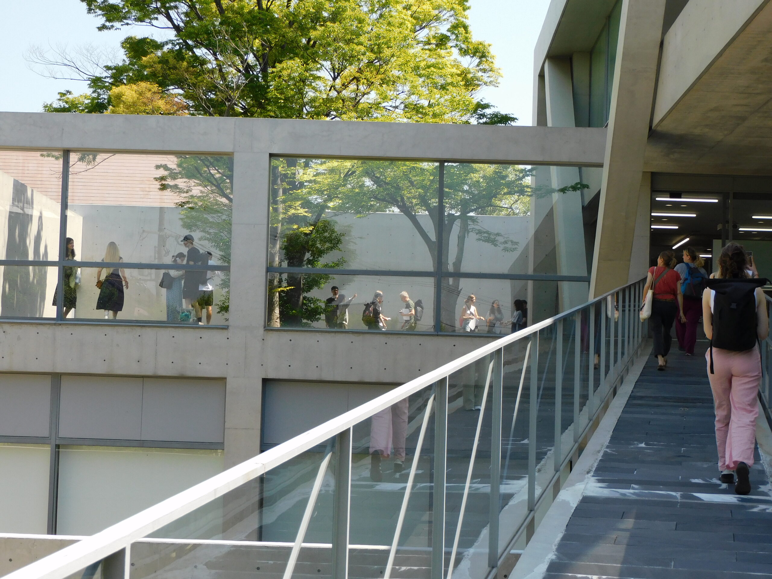 自由見学