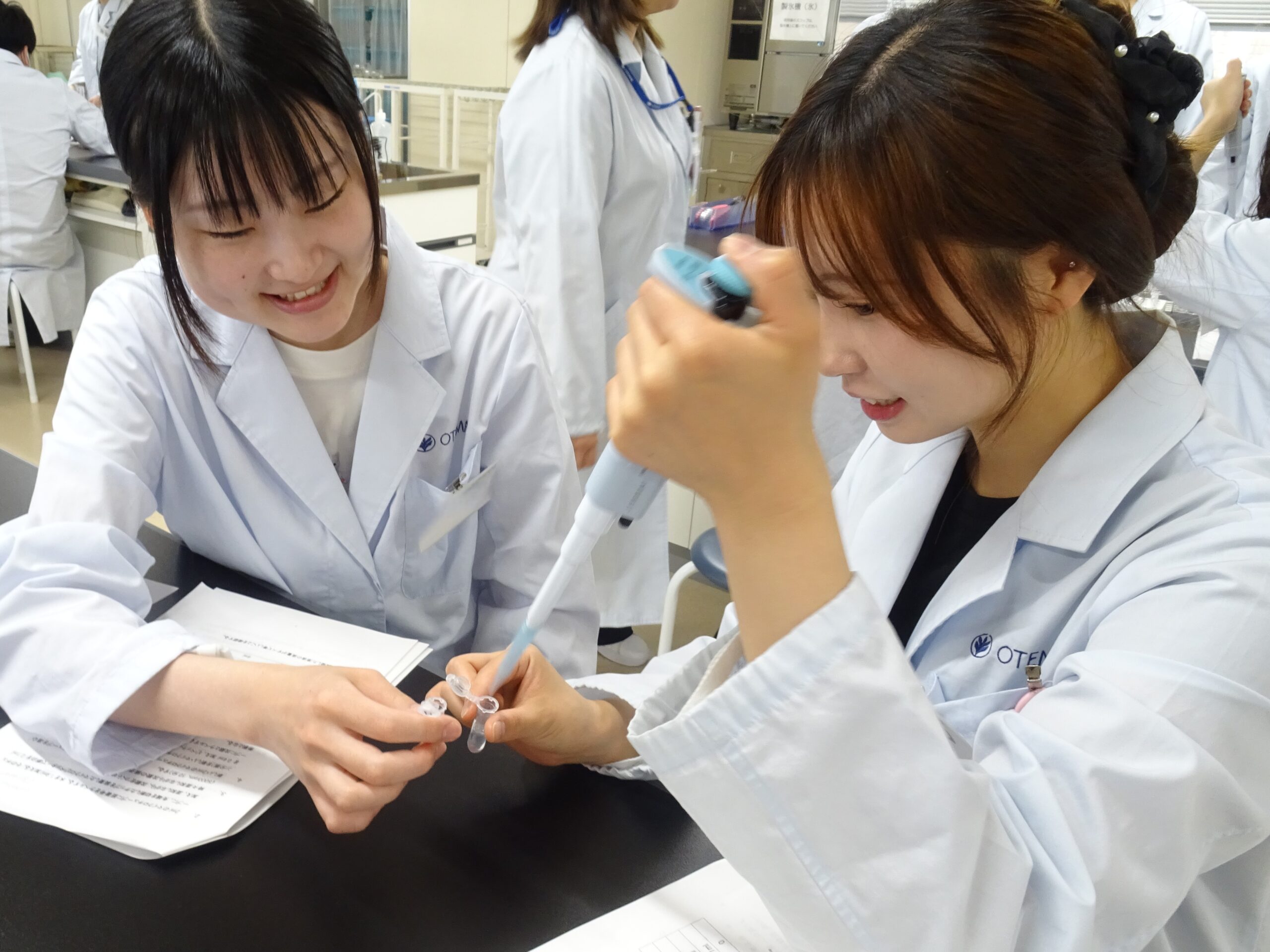 手順を確認しながら、卵白の成分をていねいに分離しています。