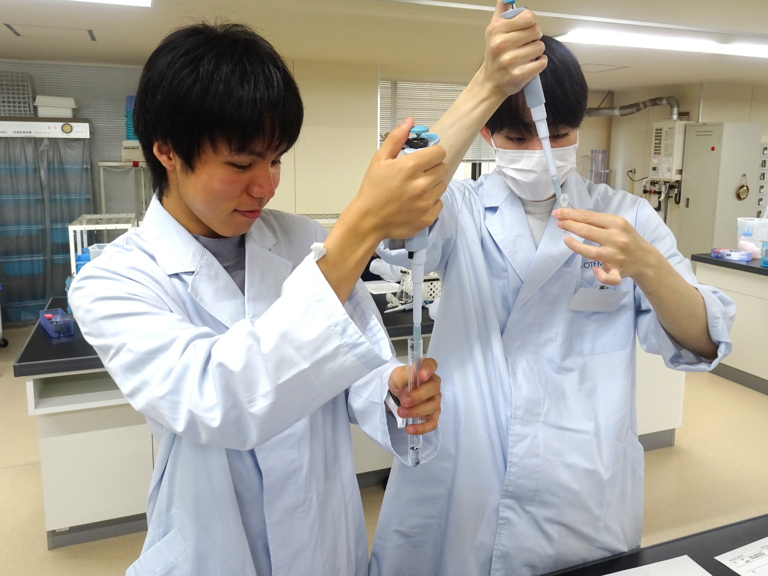 手順を確認しながら、卵白の成分をていねいに分離しています。